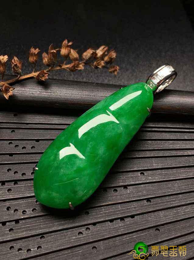 乌鸡种和白色背景青种的差别 乌鸡种和白色背景青种如何选择 