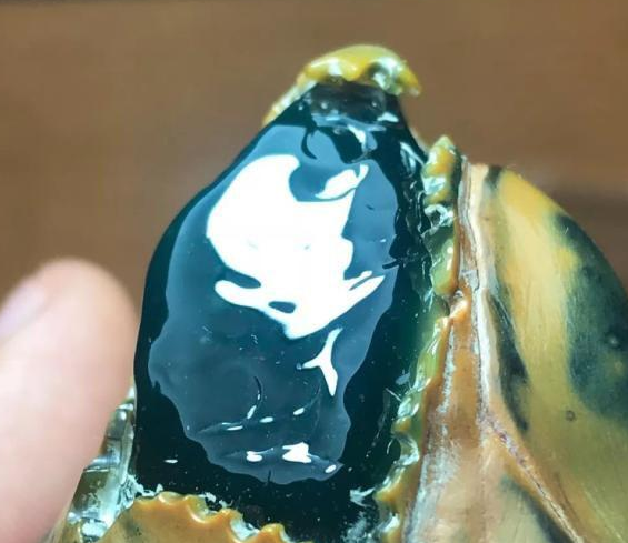 你了解的翡翠有多少，抛光的重要性又能体现什么呢？   第18张