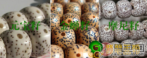 破译星月菩提手串 谈一谈它的类型辨别和维护保养   第1张