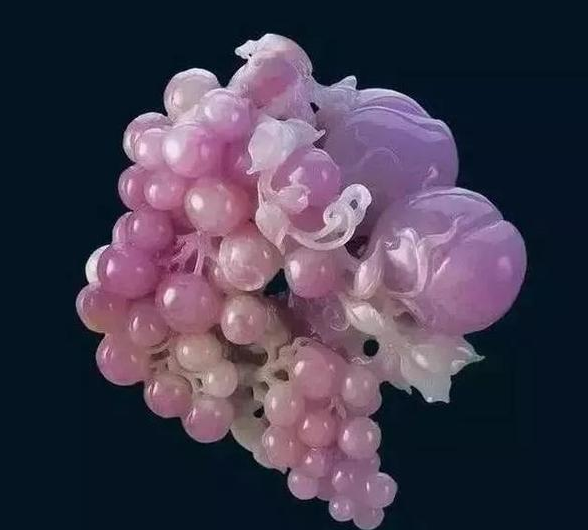 价值1800万的天价翡翠葡萄，太美了   第8张