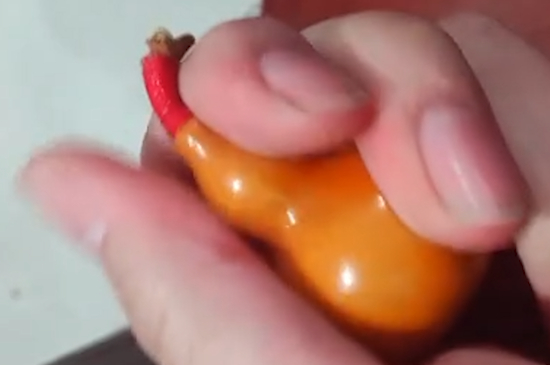 家里挂葫芦有什么讲究？家里该如何去摆放葫芦？摆放的方法有哪些？   第4张