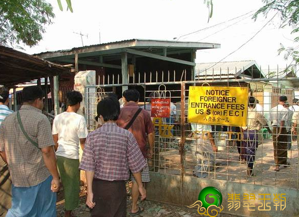 想掌握翡翠就要出产地，陪你走入越南翡翠销售市场   第2张