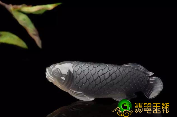 给爱人送一条翡翠鱼吧！寓意很好哦~   第6张