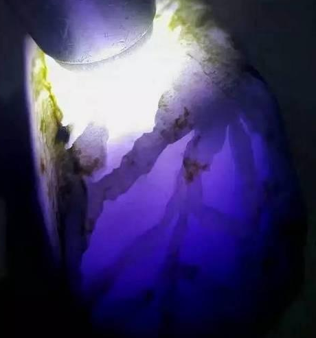 价值1800万的天价翡翠葡萄，太美了   第6张