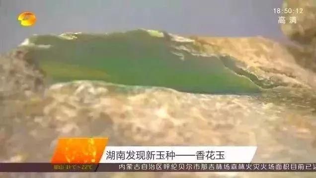 这种石头看起来很像“翡翠”，其实不值钱   第8张