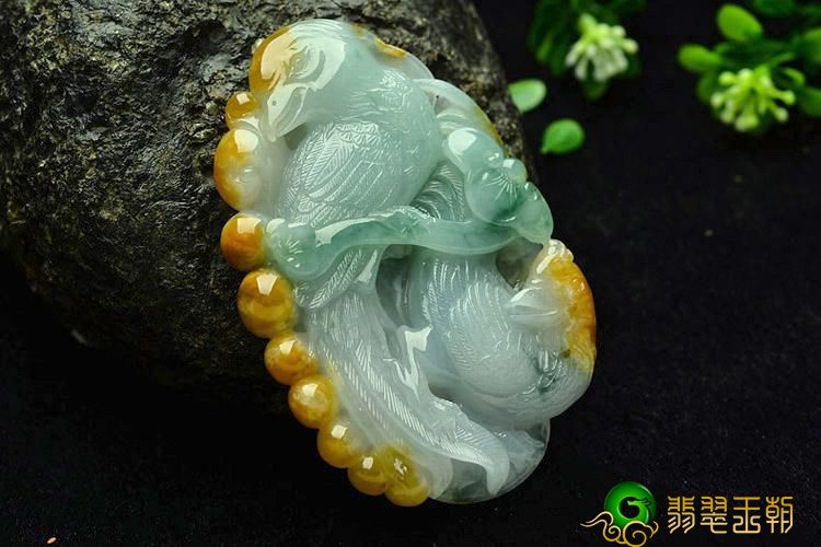 翡翠小鹦鹉的由来原来是这一模样的啊？我简直想不到啊   第1张