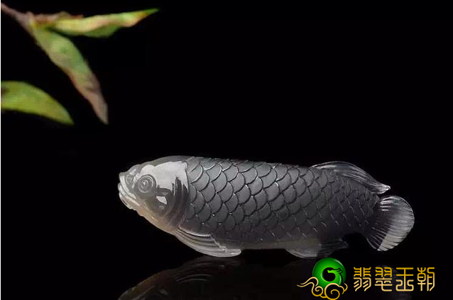 鱼种翡翠分二种，喻意各不一样哦！   第2张