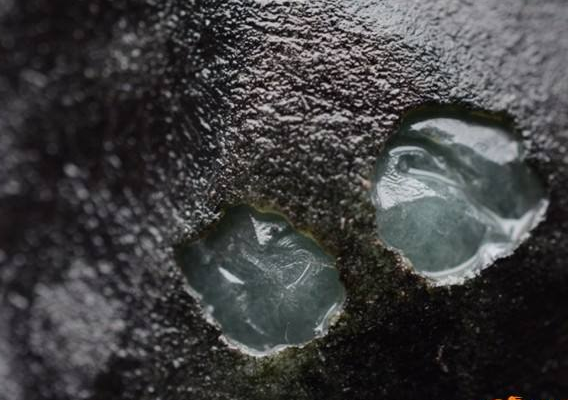 翡翠毛料的蜡皮壳很普遍吗?哪些场口出蜡壳皮翡翠毛料? 第2张