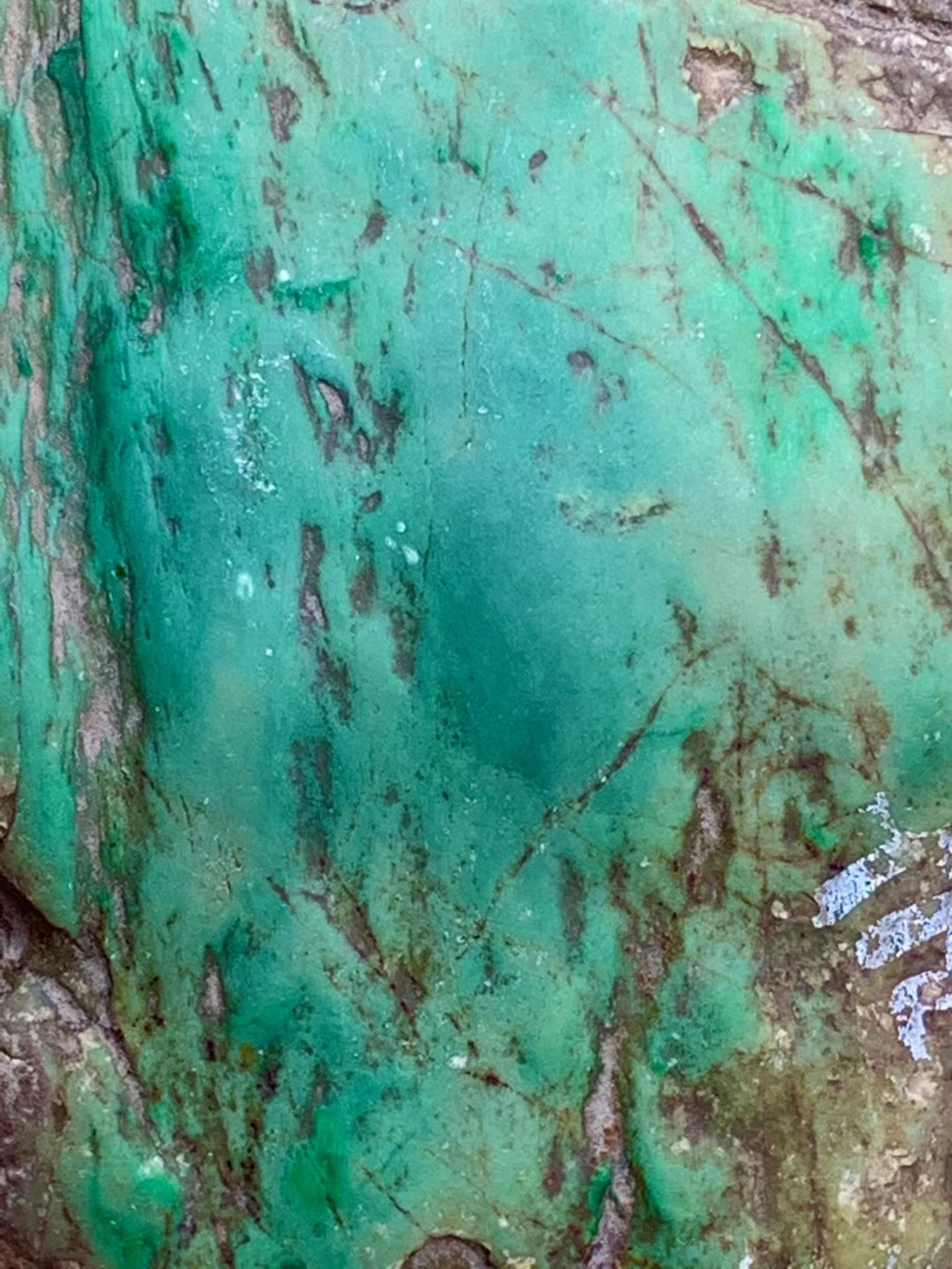 
                我们买的翡翠到底是如何估价的？
   第1张