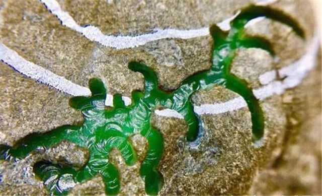 皮壳是区别翡翠矿口的标志？我们一起来看看！(图文)   第1张