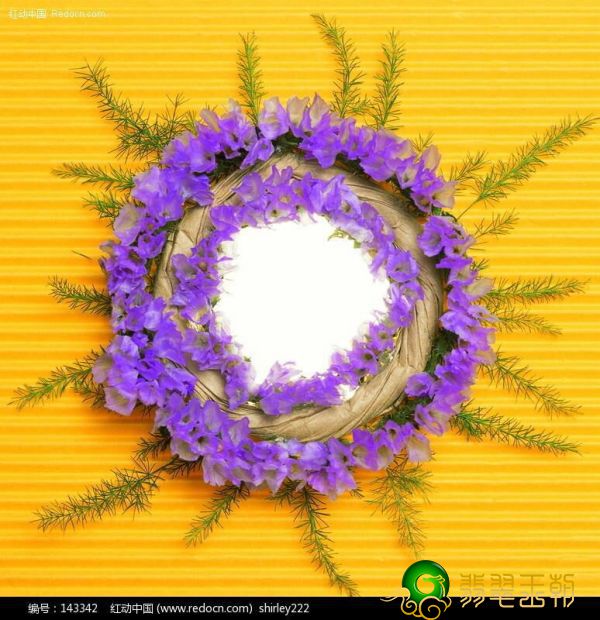 为何紫罗兰花翡翠叫见光死？   第6张