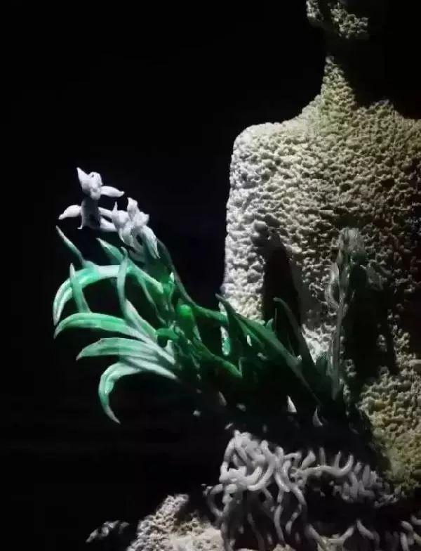 
                一块100公斤的翡翠原石雕成马蜂窝，不要大惊小怪，请看到最后！
   第11张