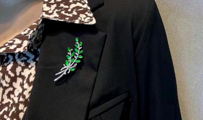 
                如何选购合适自己的翡翠胸针,翡翠胸针选购技巧
   第1张