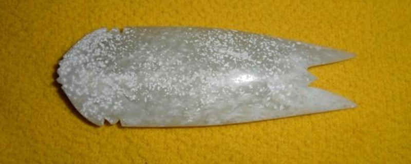 佩戴蝉有什么禁忌 第2张