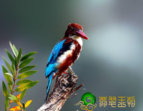 我国翡翠的历史人文与来历 你掌握是多少呢   第2张