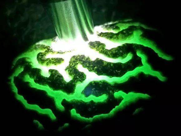 
                美女买下块“蜘蛛网”开窗的翡翠原石，剥开后成品让人看的流口水！
   第4张