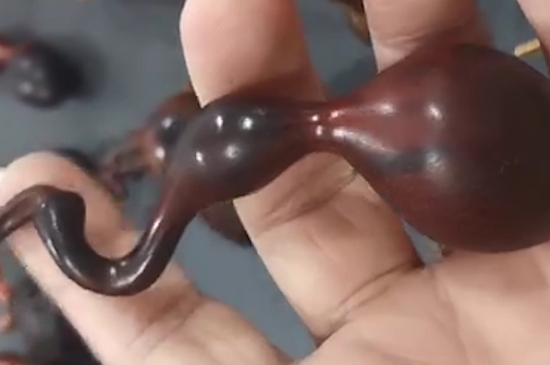 佩戴金葫芦的禁忌 佩戴金葫芦戴法有何寓意？   第4张