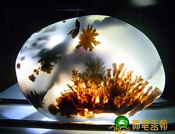 教你如何去评定真伪海洋玉髓？   第1张