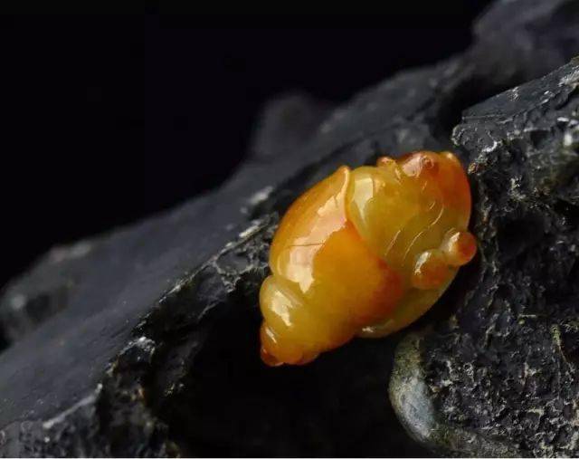 黄翡和翡黄居然不一样，我竟然不知道！！！   第37张