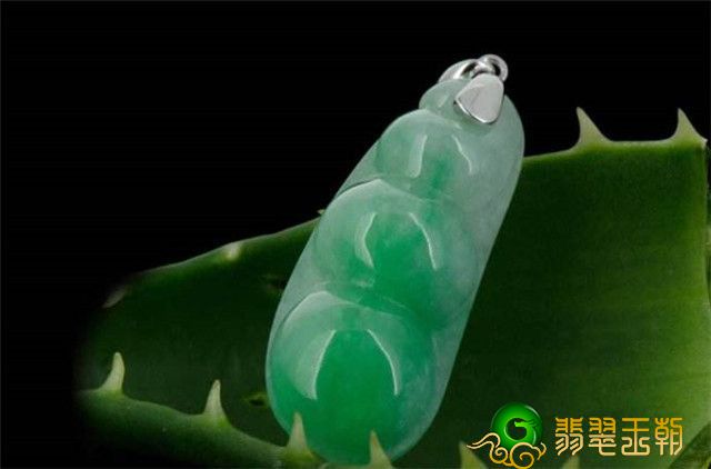 女士佩戴四季豆的寓意有哪些呢？这类寓意你一定要掌握！   第1张