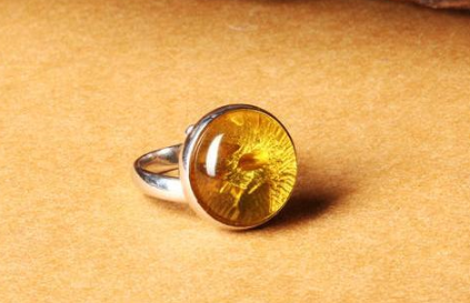 琥珀多少钱一克? 看了你也就不好奇心了   第2张