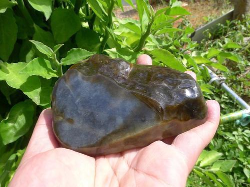 什么是乌鸡种翡翠原石 乌鸡种翡翠原石如何挑选