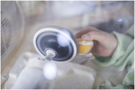 
                带你了解翡翠原石的甄别技巧
   第2张