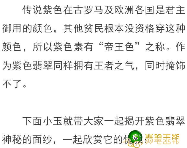 一览无余的紫罗兰花翡翠，真是美炸了！！   第2张