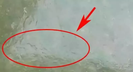 怎样判断翡翠的真假 翡翠真假判断的三大方法 第2张