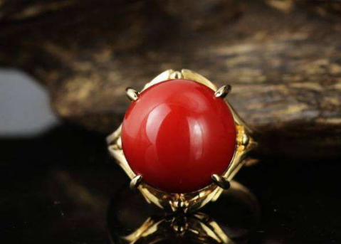 红珊瑚的鉴别 鉴别红珊瑚的几个误区 第2张