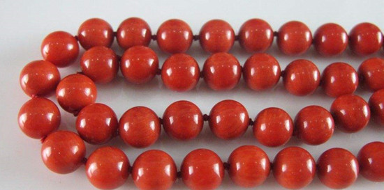 天然珊瑚价格 天然珊瑚投资行情如何   第2张