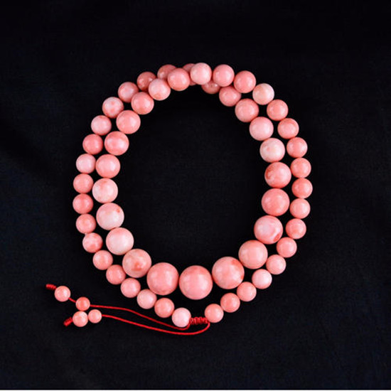 momo珊瑚图片介绍 momo珊瑚价格是多少   第1张