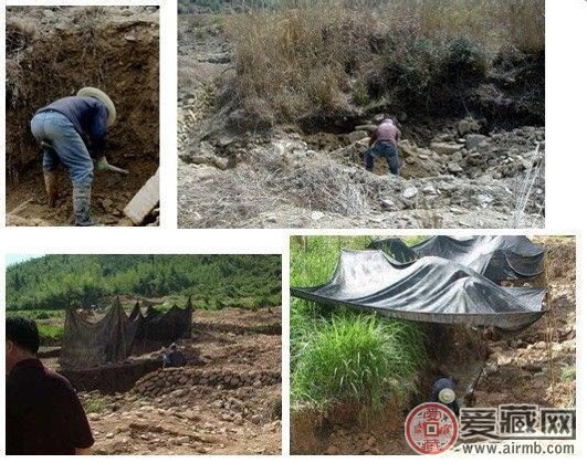 田黄石如何收藏及鉴别   第3张