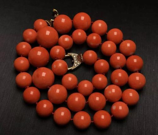 珊瑚一克多少钱 珊瑚的形成   第1张