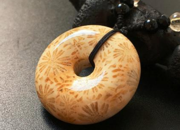 珊瑚图片大全图片欣赏 珊瑚玉是什么样的   第2张