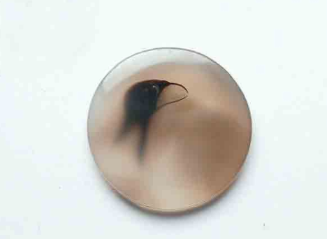 天然玛瑙图案大全图片 天然玛瑙十大图案   第7张