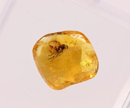 什么人不能戴琥珀 琥珀的好处 