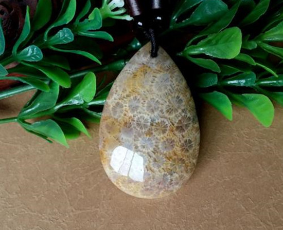 怎么看珊瑚玉是否染色 珊瑚玉真伪鉴定 第2张