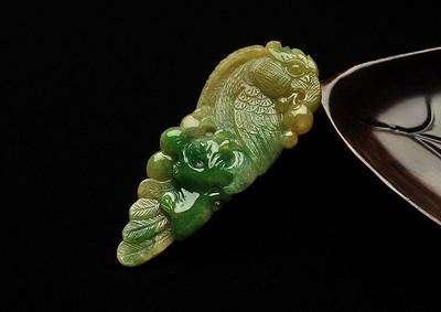 什么是翡翠鹦鹉 翡翠鹦鹉的寓意及由来 