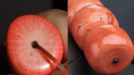 红珊瑚真假辨别方法 别真假分不清 