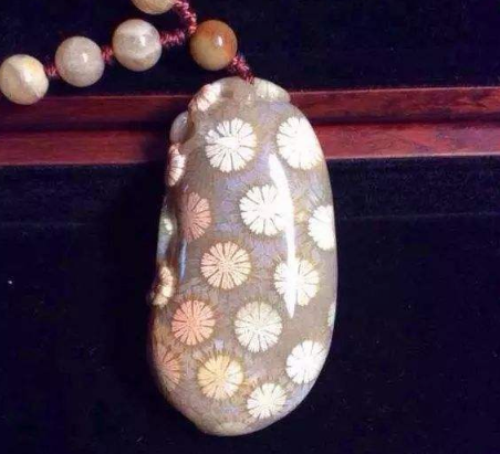 珊瑚价格 哪种珊瑚价格最贵   第1张