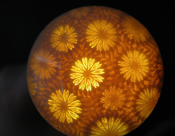 珊瑚玉什么花纹最值钱 珊瑚玉花纹种类   第1张