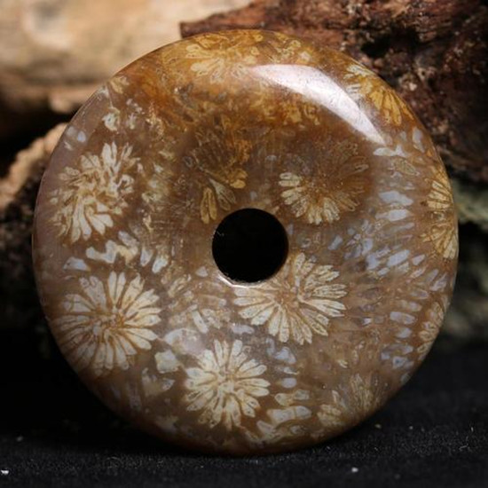 珊瑚玉的功效与作用 价格是多少 第1张