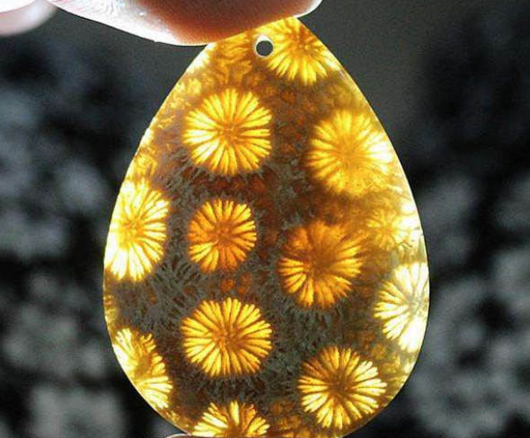 珊瑚玉鉴别方法 染色珊瑚玉怎么鉴别   第2张