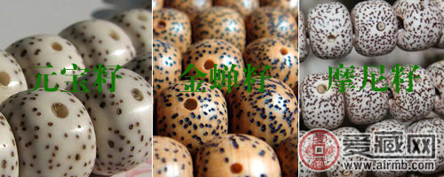 解密星月菩提子 谈谈它的种类鉴别和保养   第1张