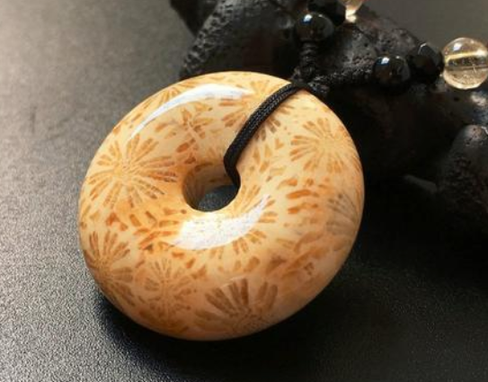 珊瑚的品种和分类 珊瑚的品种等级   第2张