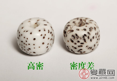 解密星月菩提子 谈谈它的种类鉴别和保养   第2张