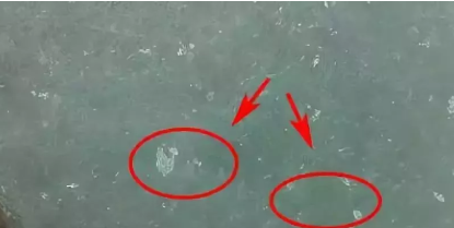 怎样判断翡翠的真假 翡翠真假判断的三大方法 第1张