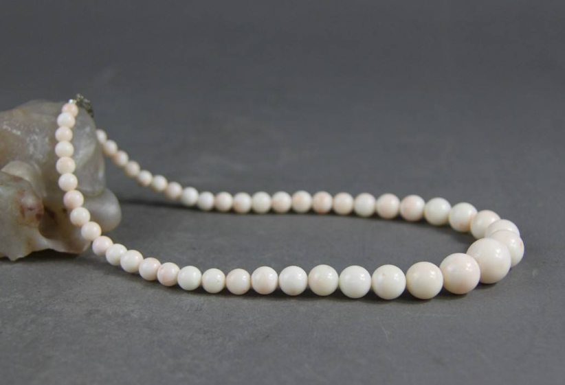 白珊瑚图片 白珊瑚图片及价格 