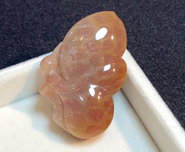 珊瑚图片大全图片欣赏 珊瑚玉是什么样的   第1张